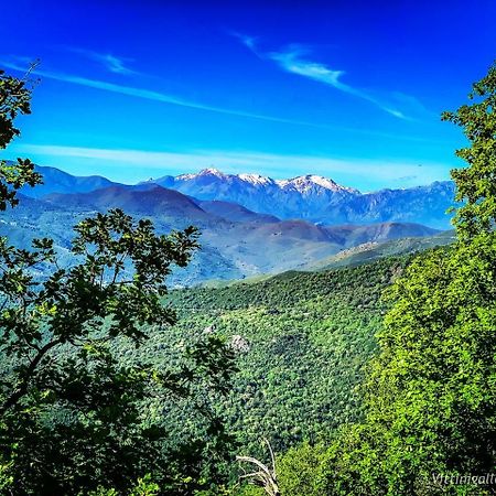 Nuits Magiques Au Village Entre Mer Et Montagnes Bigorno Екстериор снимка