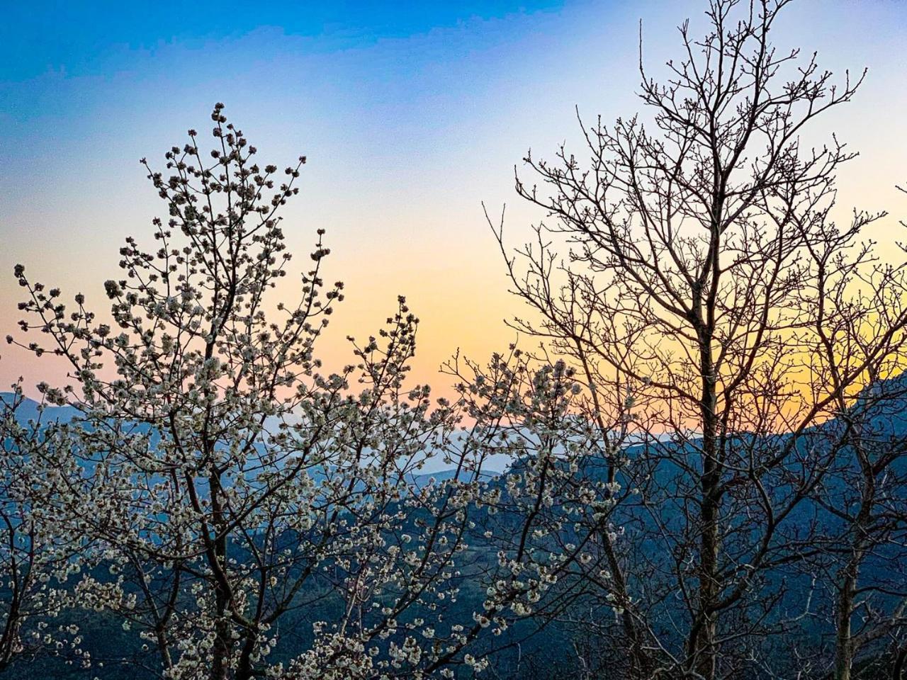 Nuits Magiques Au Village Entre Mer Et Montagnes Bigorno Екстериор снимка