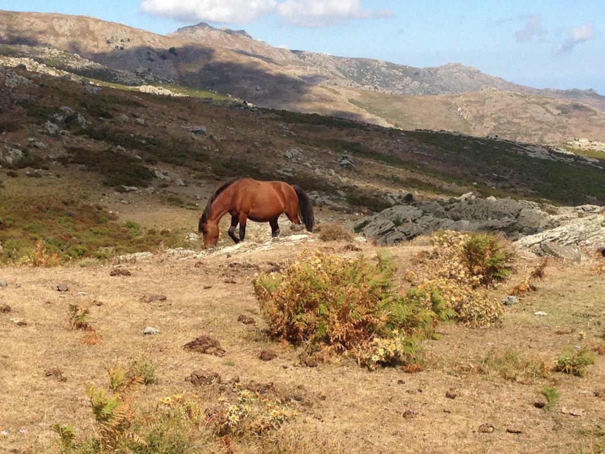 Nuits Magiques Au Village Entre Mer Et Montagnes Bigorno Екстериор снимка
