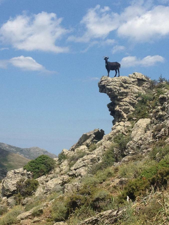 Nuits Magiques Au Village Entre Mer Et Montagnes Bigorno Екстериор снимка